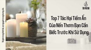 Top 7 tiềm ẩn