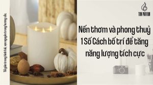 nen thom
