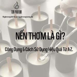 Nến thơm là gì? Công dụng và cách sử dụng nến thơm hiệu quả.
